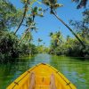 AquaHeaven mangrove kayaking