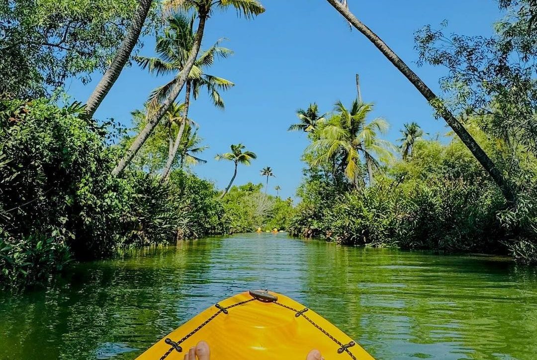 AquaHeaven mangrove kayaking