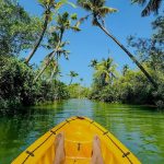 AquaHeaven mangrove kayaking
