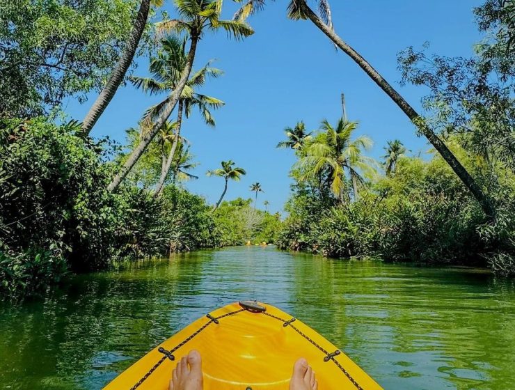 AquaHeaven mangrove kayaking